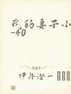 我的妻子小谨1-40