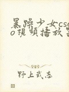 暴躁少女csgo视频播放器推荐