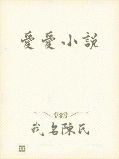 爱爱小说