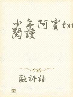 少年阿宾txt阅读封面