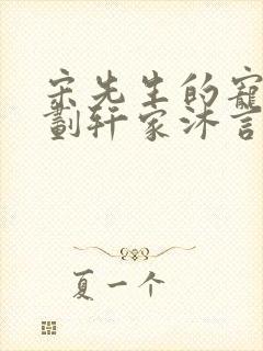 宋先生的宠妻计划轩家沐言