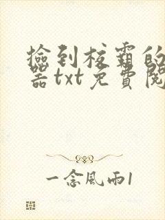 《捡到校霸的遥控器txt免费阅读》小说封面