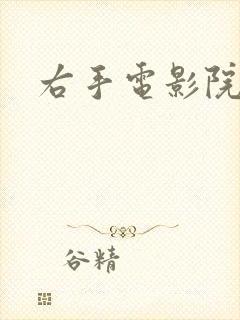 右手电影院封面