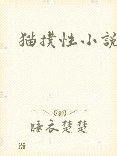 猫扑性小说