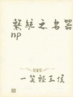 系统之名器攻略np