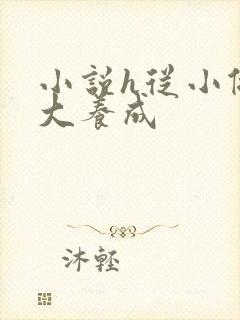 小说h从小做到大养成