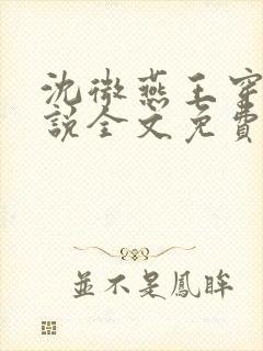 沈微燕王穿越小说全文免费阅读