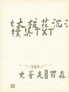t大校花沉浮录续集TXT