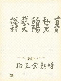 总裁的私有宝贝穆天阳免费