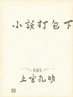 小说打包下载封面