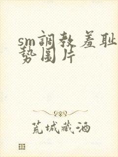 sm调教羞耻姿势图片