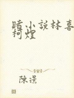 赌小说林喜朝和柯煜