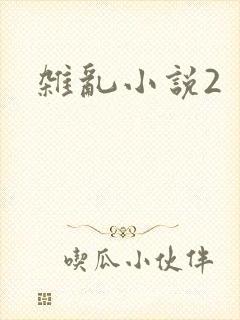 杂乱小说2