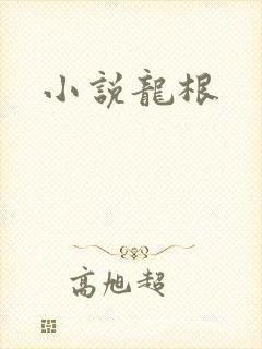 小说龙根