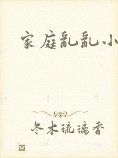 家庭乱乱小说