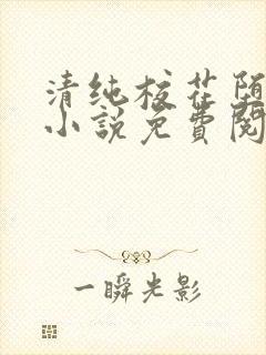 清纯校花堕落记小说免费阅读