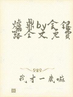 炉鼎by金银花露全文免费阅读笔趣阁