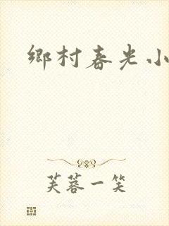 乡村春光小说