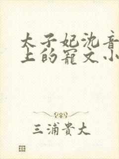 太子妃沈音和皇上的宠文小说