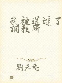 我被送进了私奴调教所