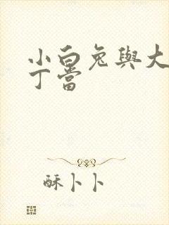 小白兔与大灰狼丁当