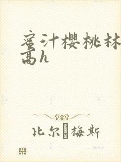 蜜汁樱桃林妙妙高h