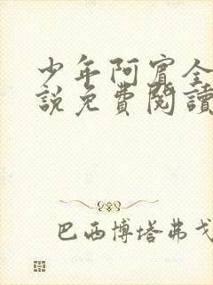 少年阿宾全文小说免费阅读笔趣阁