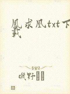 凤求凰txt下载