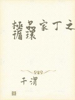 极品家丁之因果循环