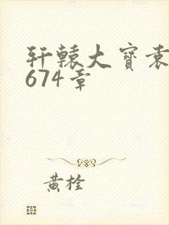 轩辕大宝袁雪妃674章