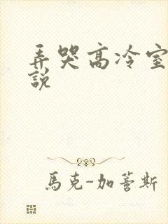 弄哭高冷室友小说封面