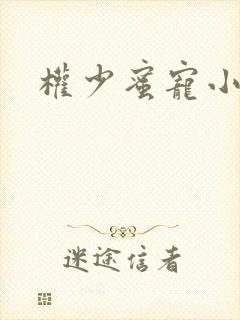 权少蜜宠小娇妻