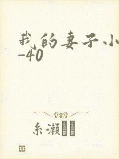 我的妻子小谨1-40