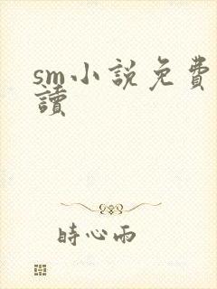 sm小说免费阅读