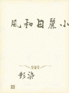 风和日丽小说