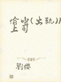 偷吃(出轨)h上司