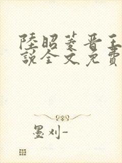 陆昭菱晋王的小说全文免费阅读