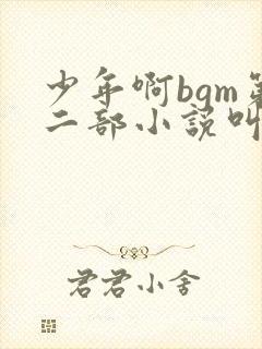 少年啊bgm第二部小说叫什么