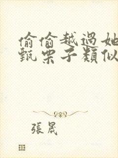 偷偷越过她by甄栗子类似小说封面