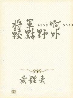 将军灬啊灬啊灬轻点野外