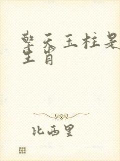 擎天玉柱是什么生肖