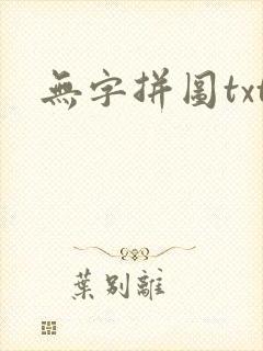 无字拼图txt