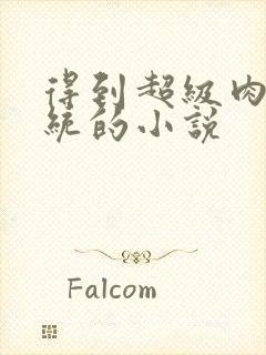 得到超级肉禽系统的小说