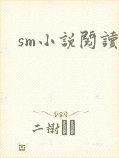 sm小说阅读