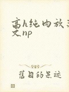 高h纯肉放荡h文np
