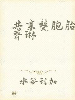 共享双胞胎齐娜齐琳