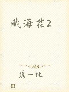 藏海花2