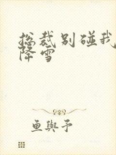 总裁别碰我 韩降雪