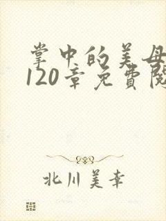 掌中的美母版主120章免费阅读