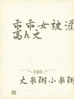 乖乖女被灌满精高h文